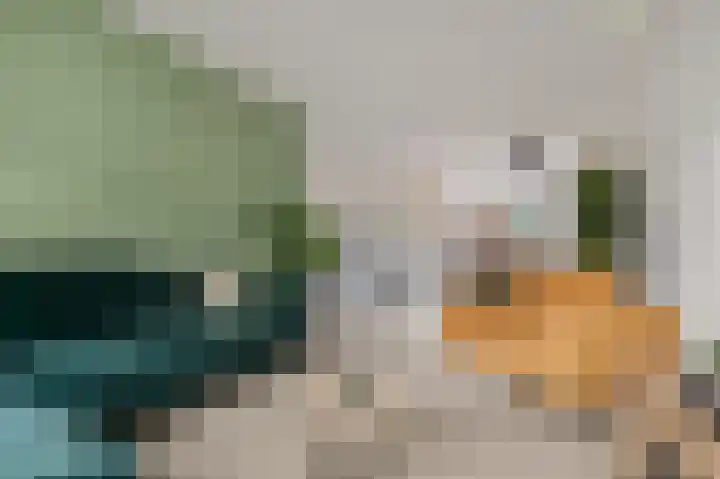 Slagvink 22 Veenendaal thumbnail 5