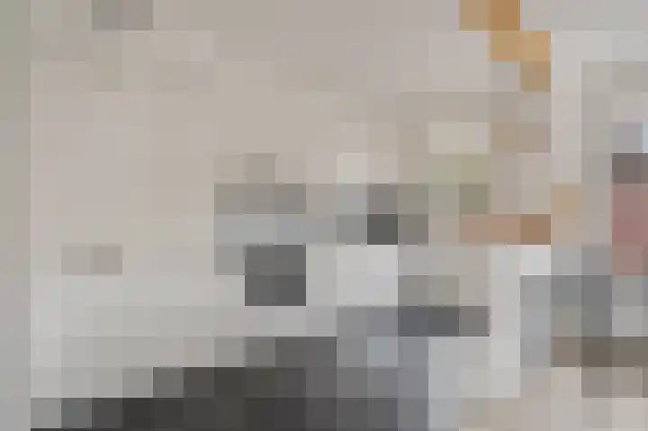 Slagvink 22 Veenendaal thumbnail 8