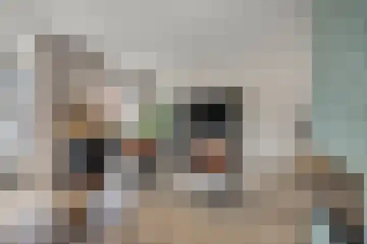 Slagvink 33 Veenendaal thumbnail 10