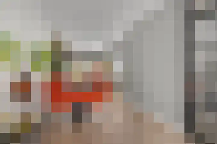 Slagvink 33 Veenendaal thumbnail 12