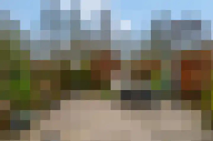Slagvink 33 Veenendaal thumbnail 30