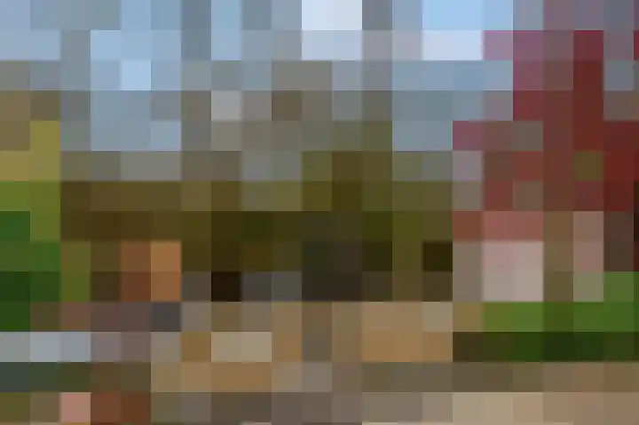 Slagvink 33 Veenendaal thumbnail 32