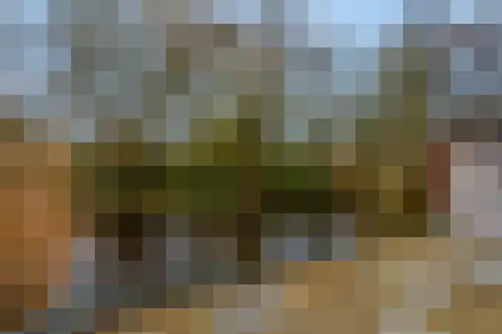 Slagvink 33 Veenendaal thumbnail 33