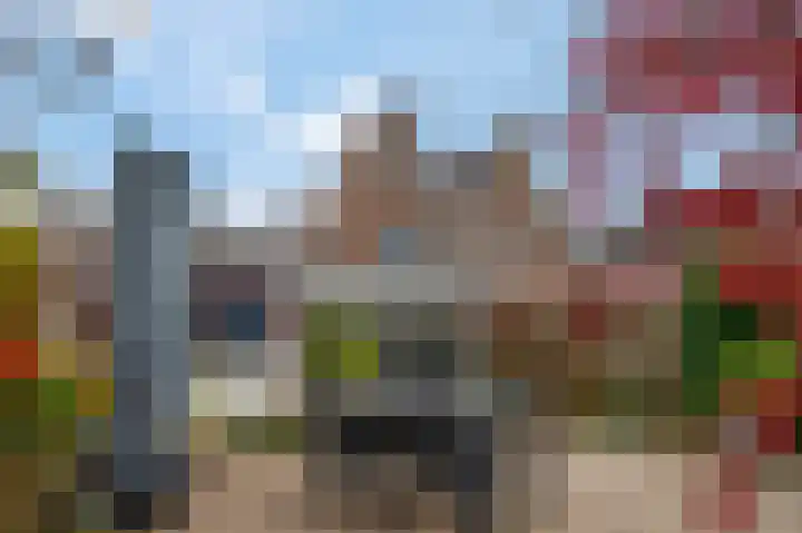 Slagvink 33 Veenendaal thumbnail 34