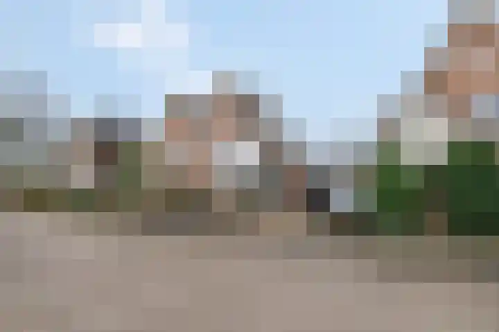Slagvink 33 Veenendaal thumbnail 35
