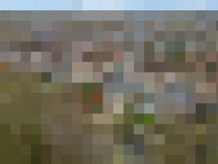 Slagvink 33 Veenendaal thumbnail 36