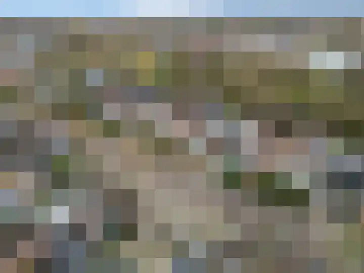 Slagvink 33 Veenendaal thumbnail 37