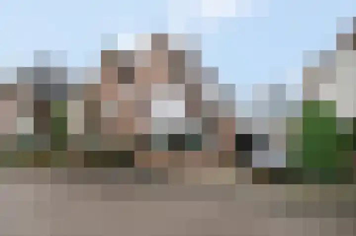 Slagvink 33 Veenendaal thumbnail 5