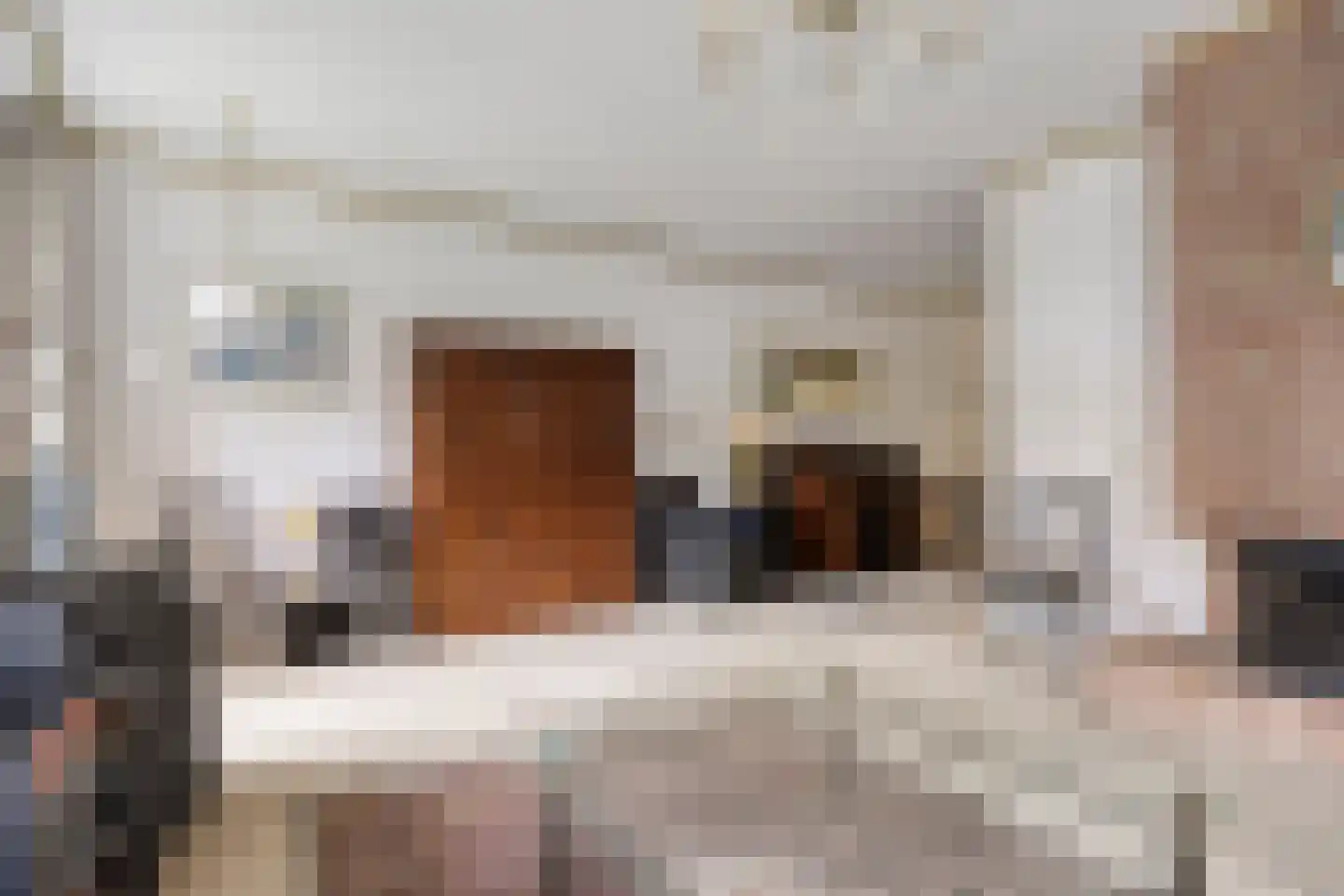 Slagvink 37 Veenendaal thumbnail 11