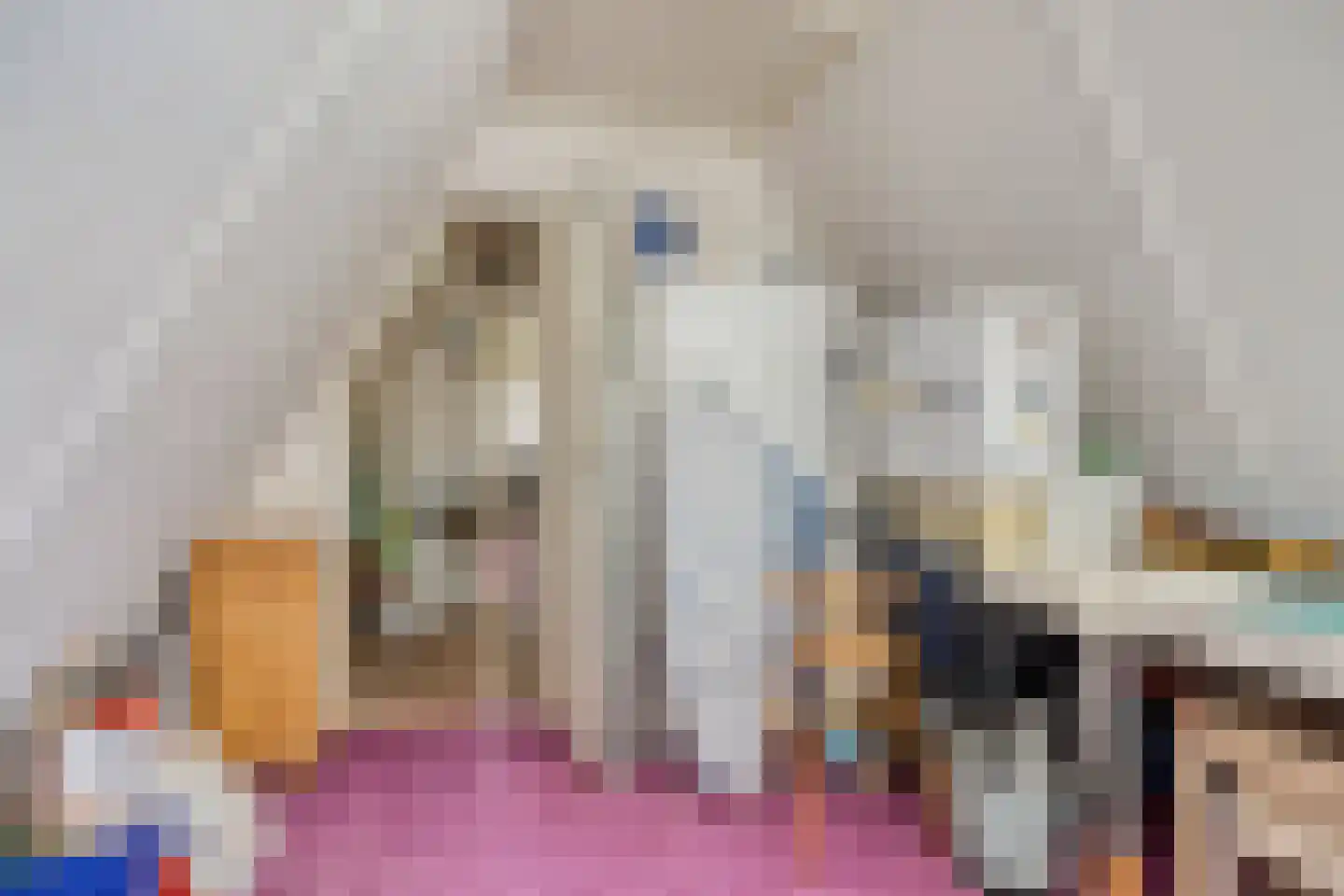 Slagvink 37 Veenendaal thumbnail 26