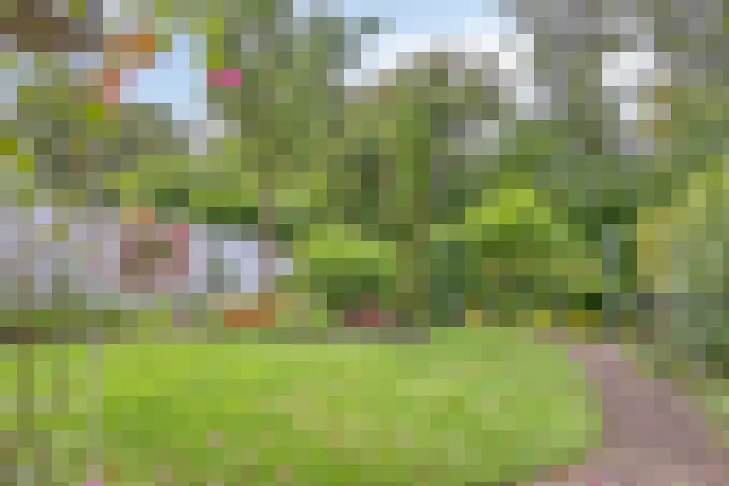 Slagvink 37 Veenendaal thumbnail 29