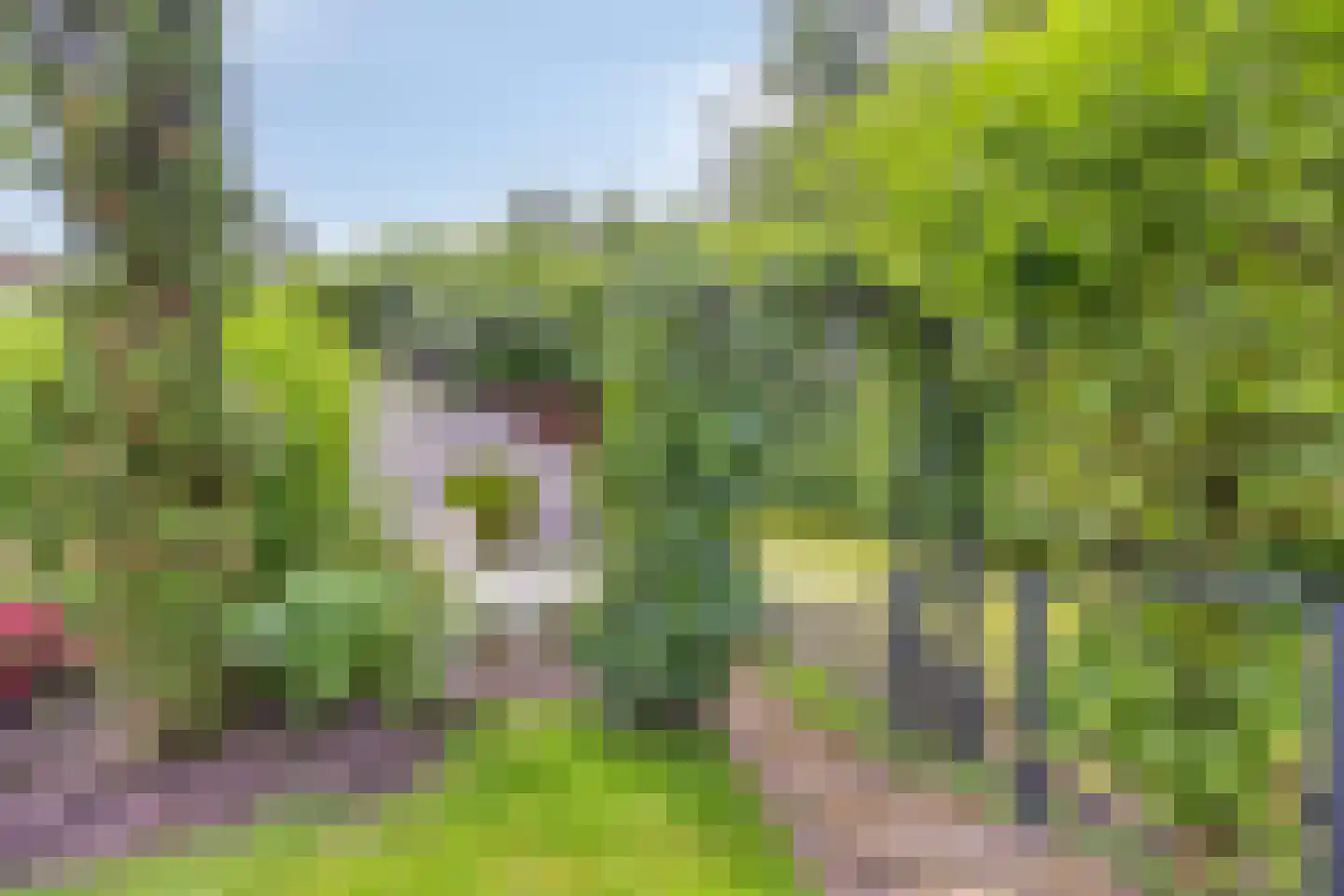 Slagvink 37 Veenendaal thumbnail 31