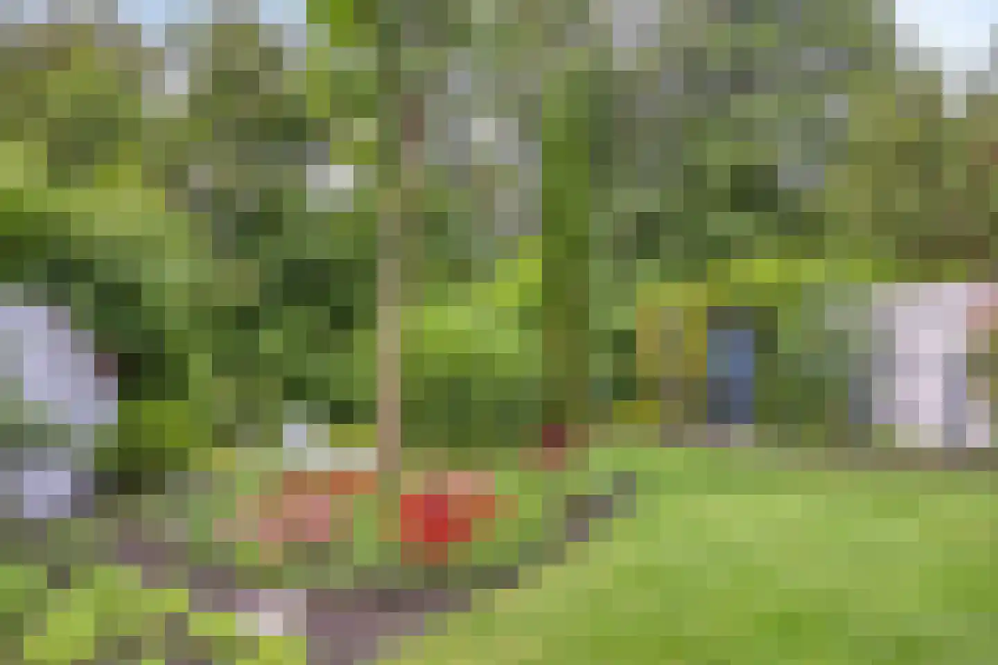 Slagvink 37 Veenendaal thumbnail 5