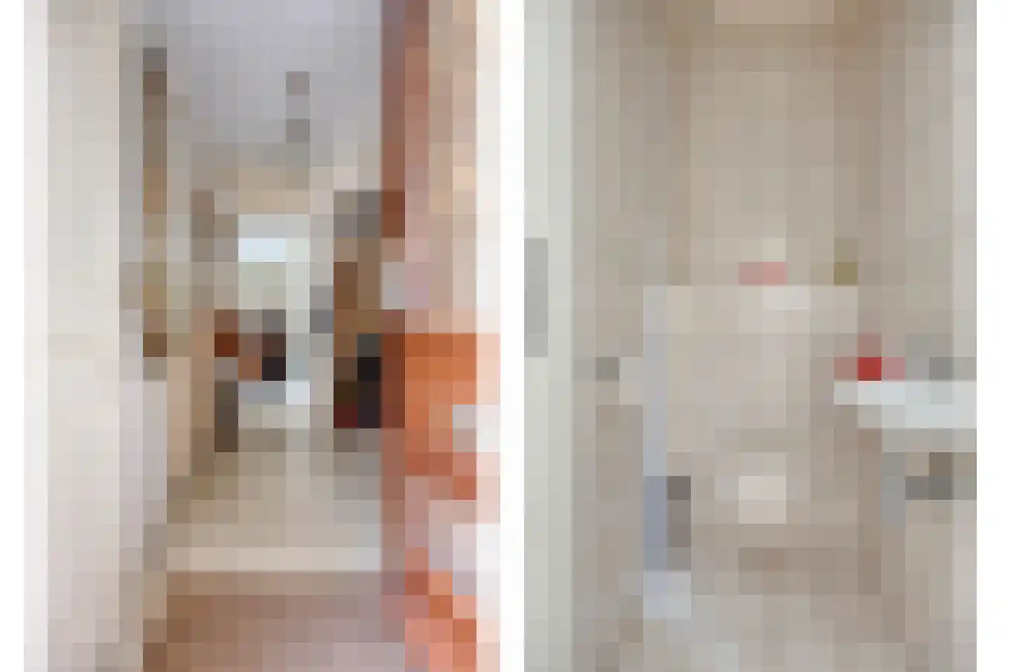 Slagvink 37 Veenendaal thumbnail 8