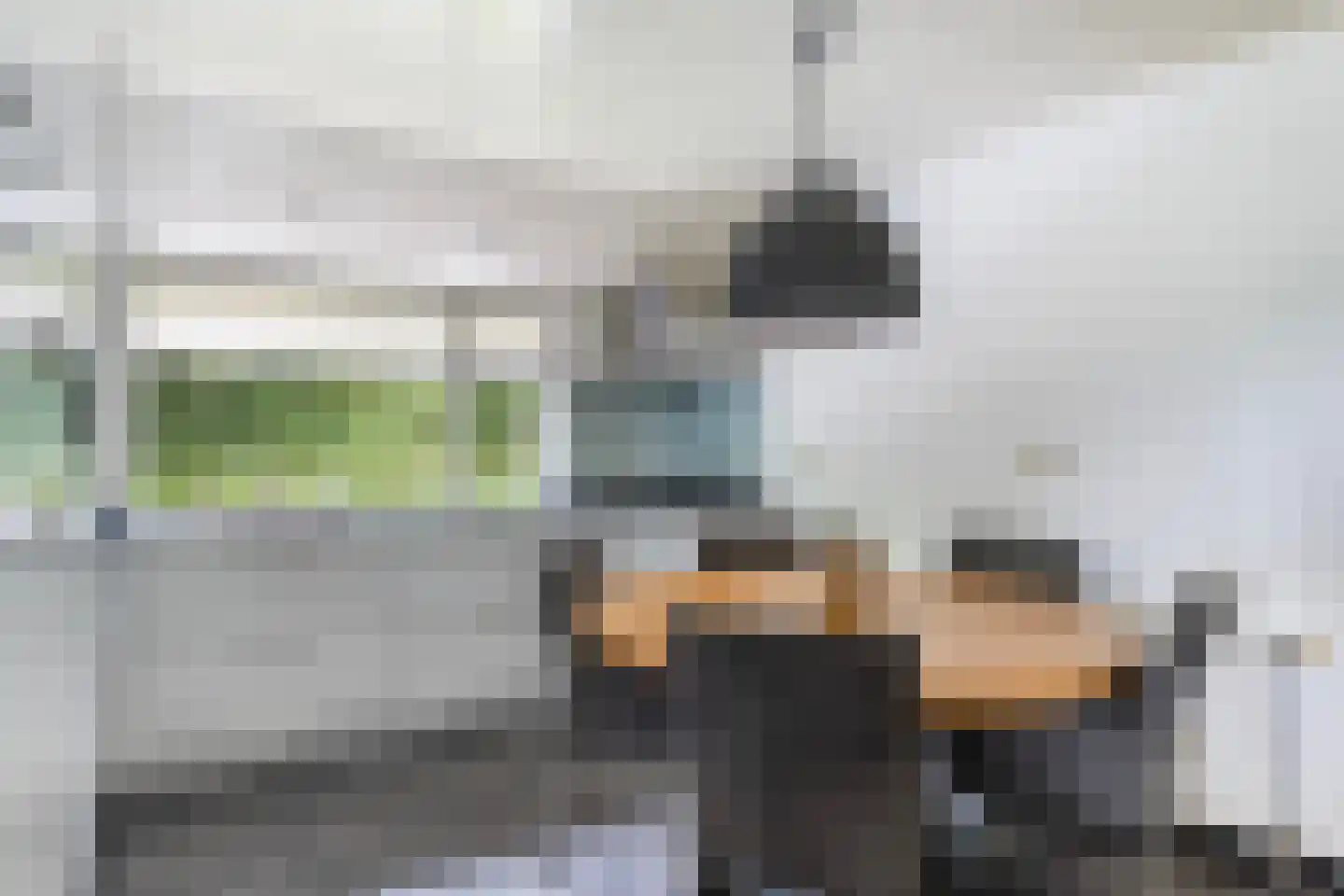 Slagweg 19 Dalfsen thumbnail 11