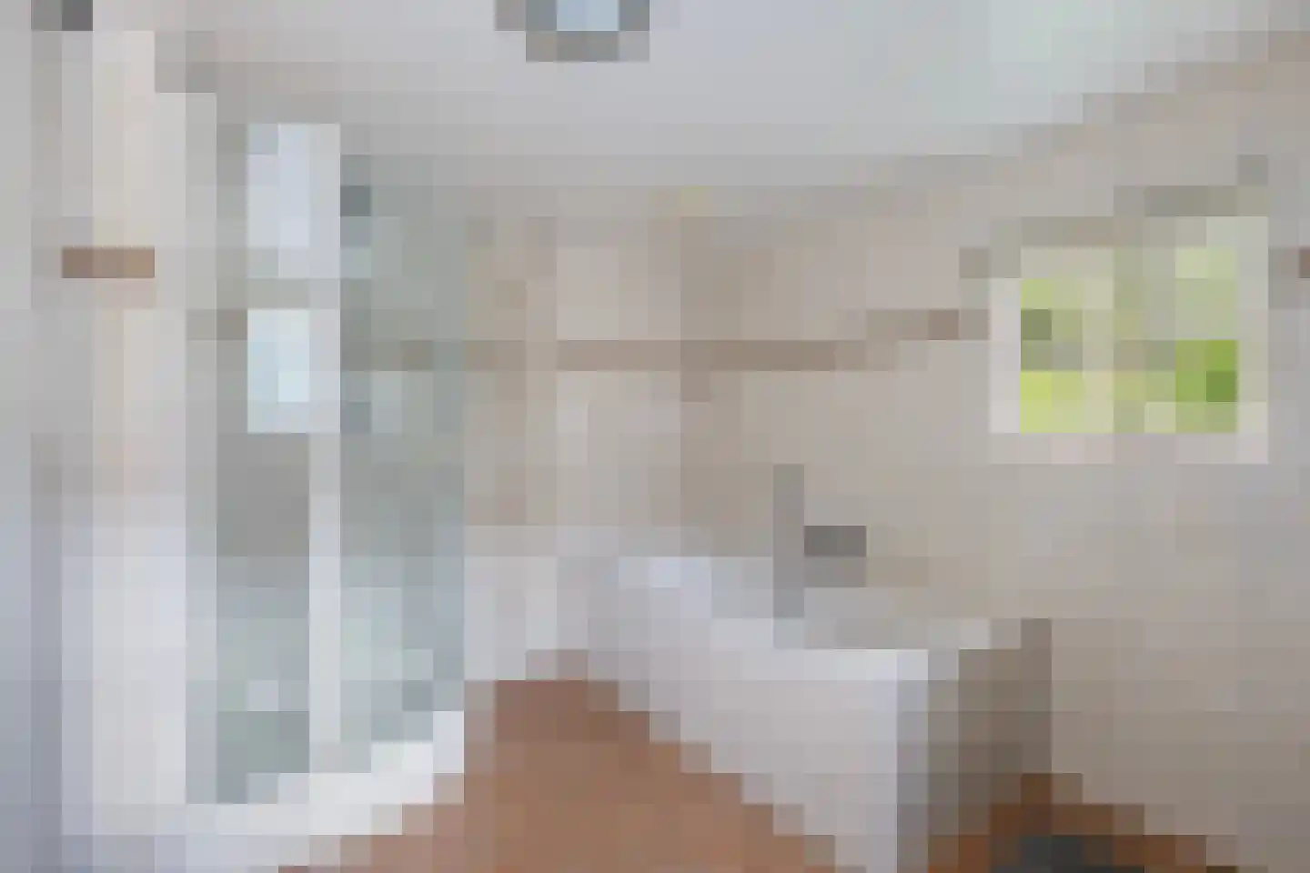 Slagweg 19 Dalfsen thumbnail 12