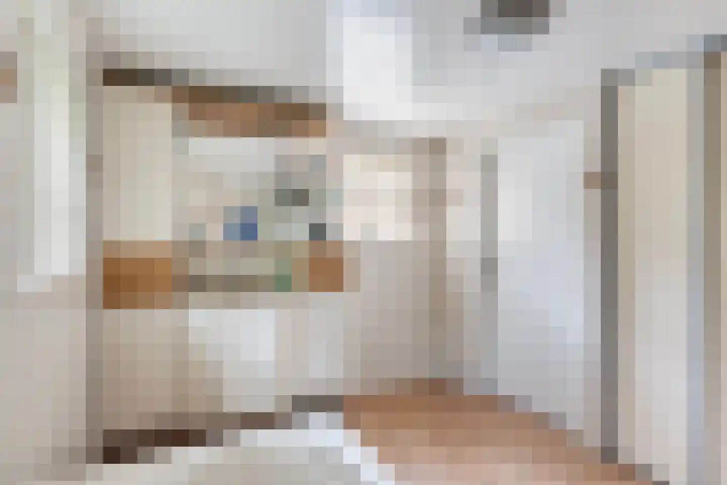 Slagweg 19 Dalfsen thumbnail 13