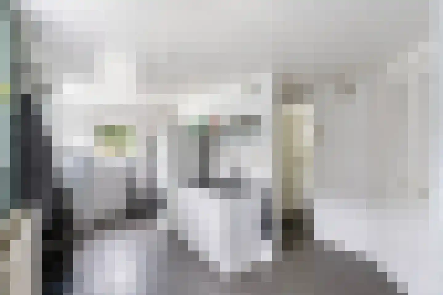 Slagweg 19 Dalfsen thumbnail 15
