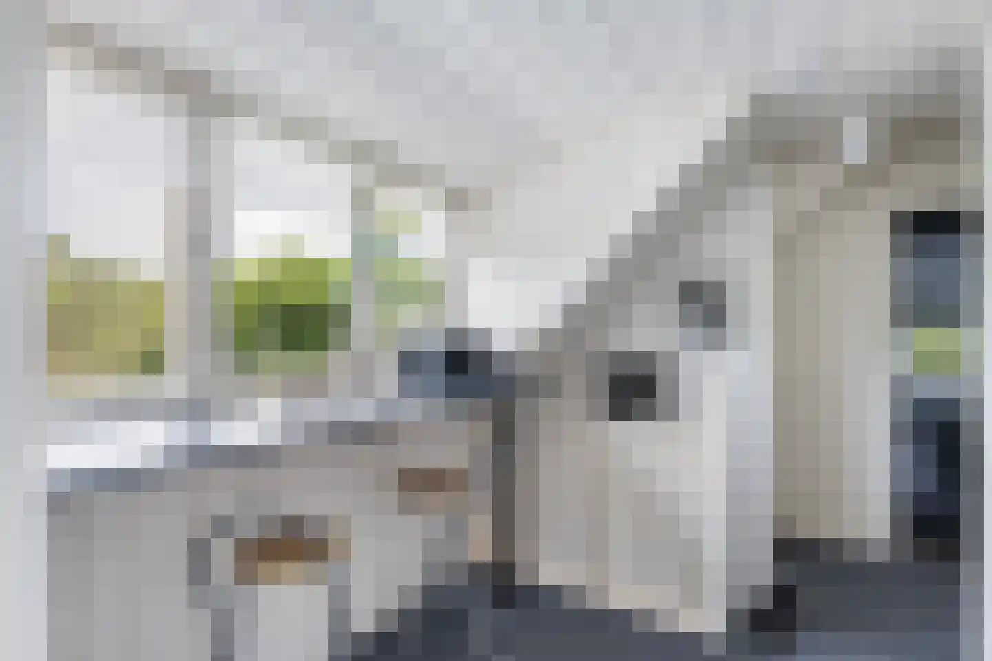 Slagweg 19 Dalfsen thumbnail 17
