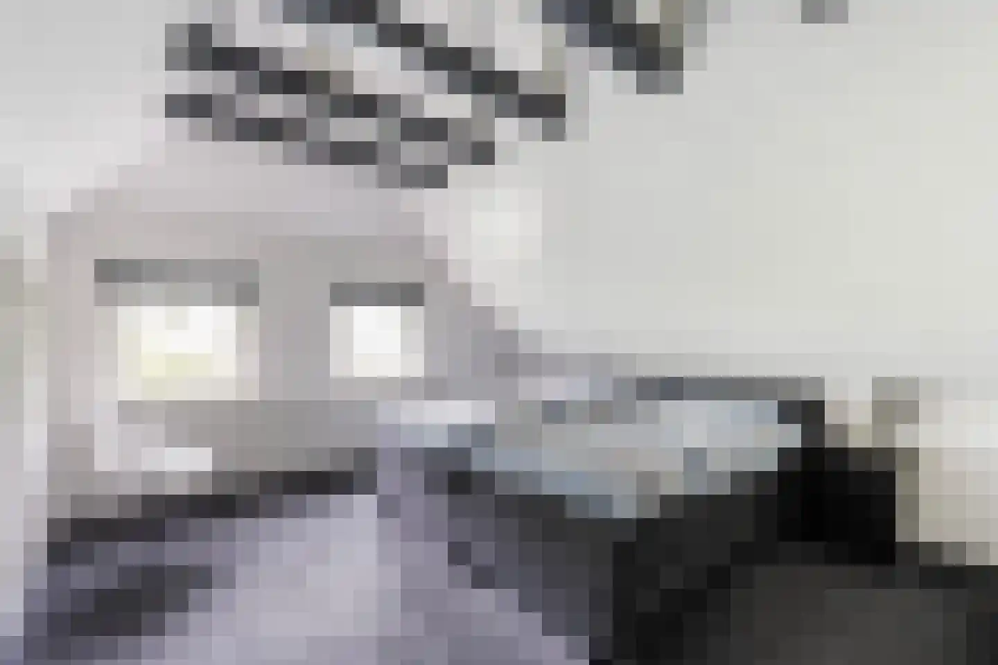 Slagweg 19 Dalfsen thumbnail 18