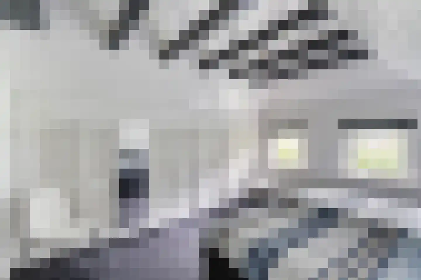 Slagweg 19 Dalfsen thumbnail 19