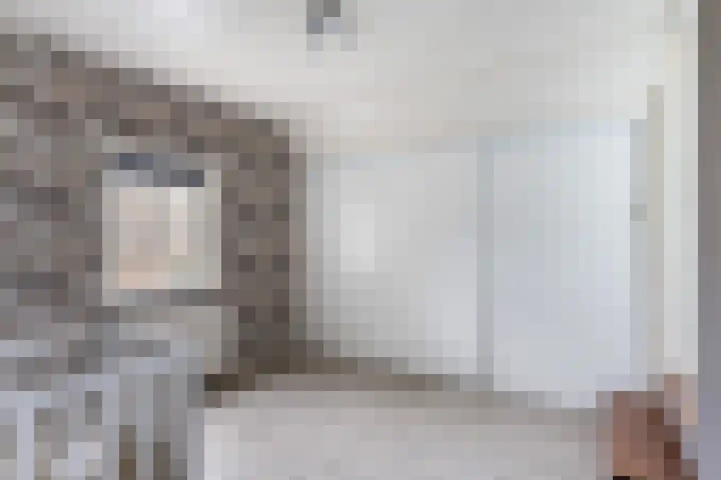 Slagweg 19 Dalfsen thumbnail 21