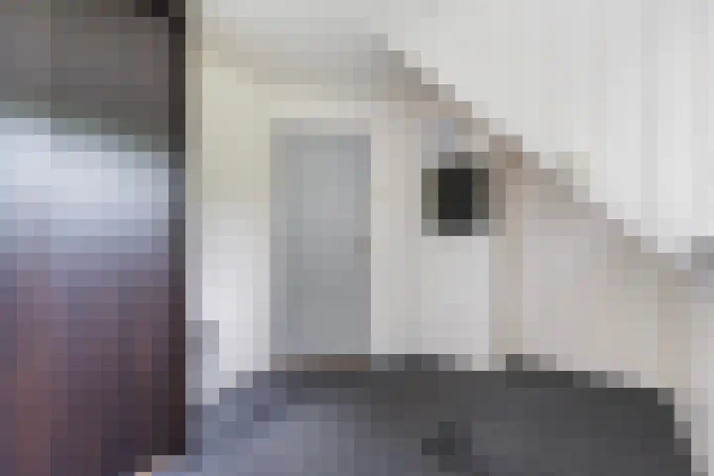 Slagweg 19 Dalfsen thumbnail 22