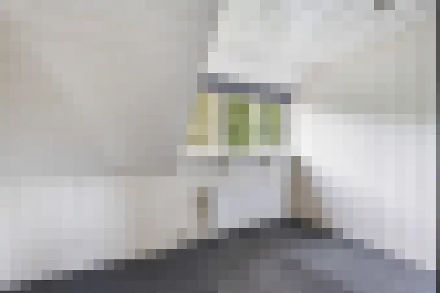 Slagweg 19 Dalfsen thumbnail 23
