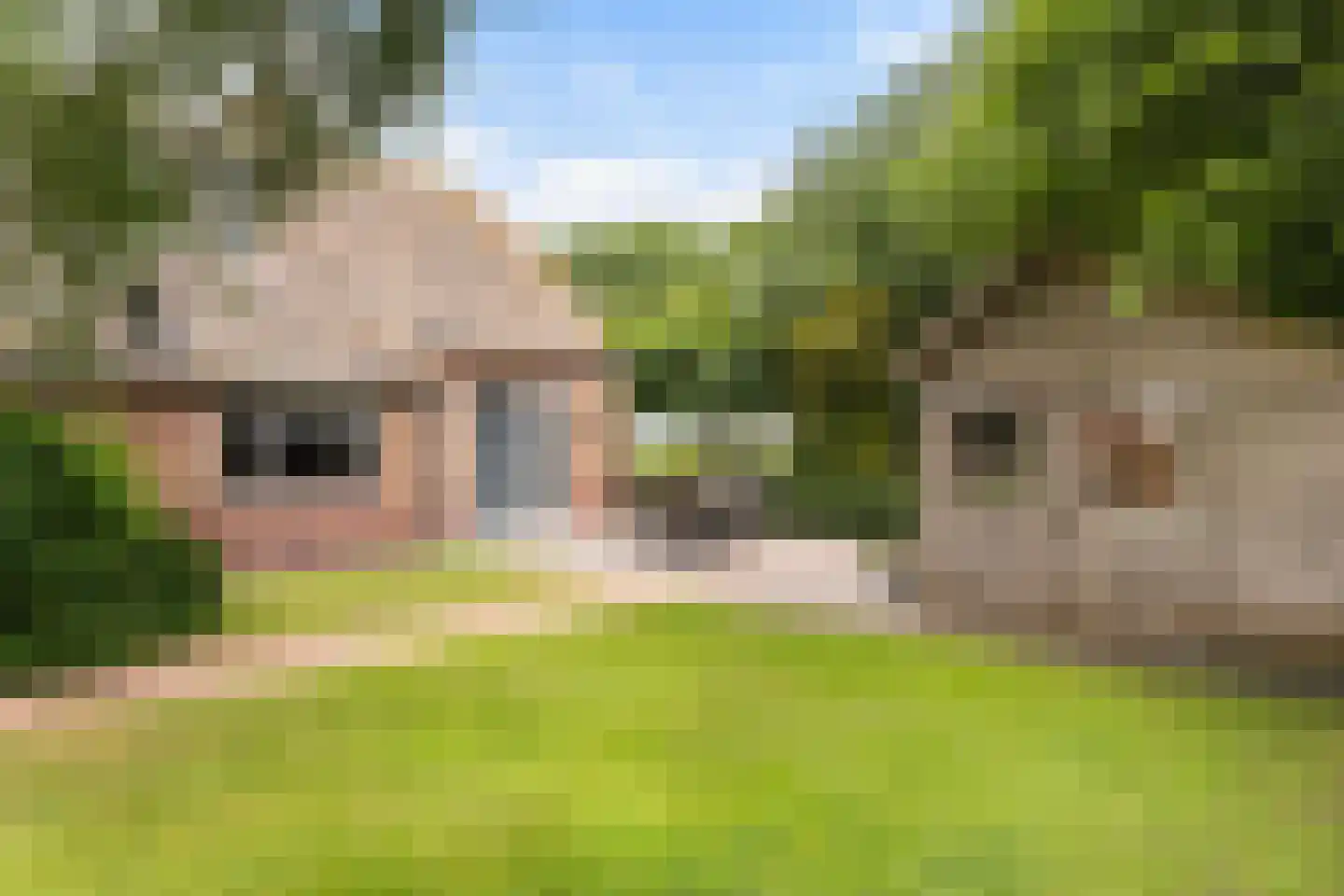Slagweg 19 Dalfsen thumbnail 24
