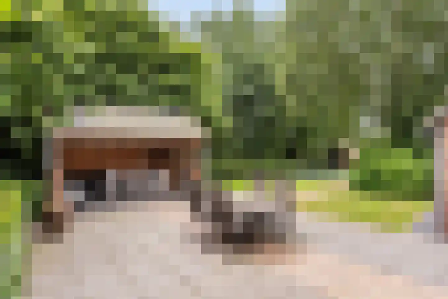 Slagweg 19 Dalfsen thumbnail 25