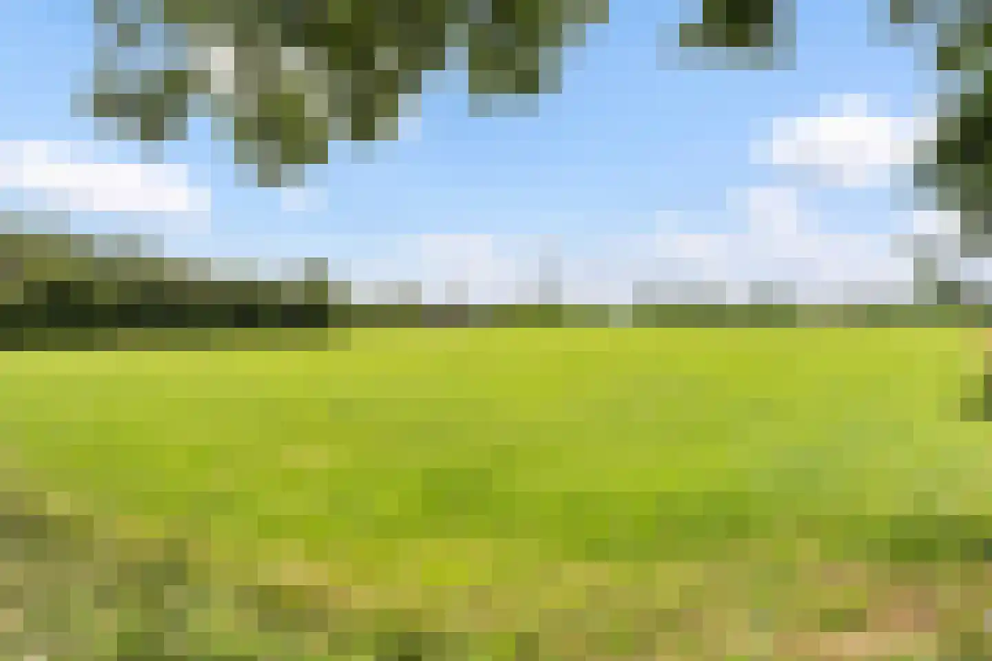 Slagweg 19 Dalfsen thumbnail 27