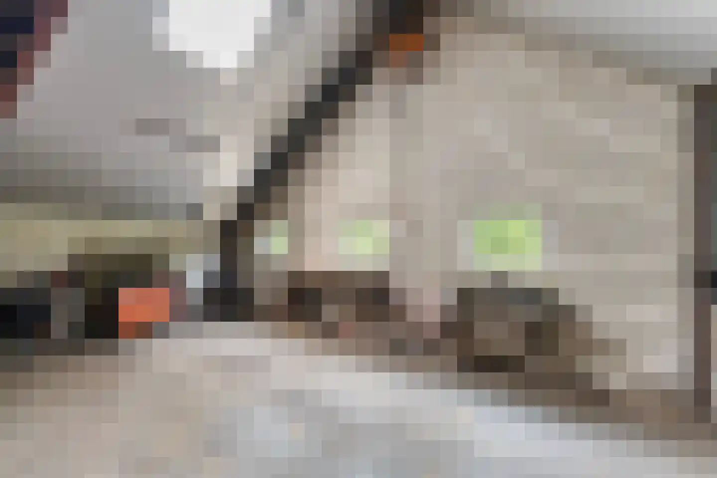 Slagweg 19 Dalfsen thumbnail 32