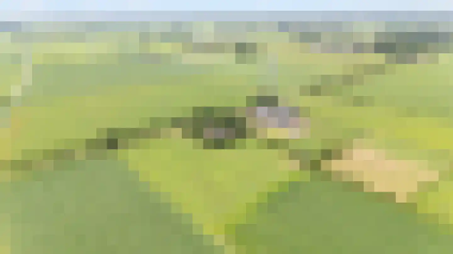 Slagweg 19 Dalfsen thumbnail 35