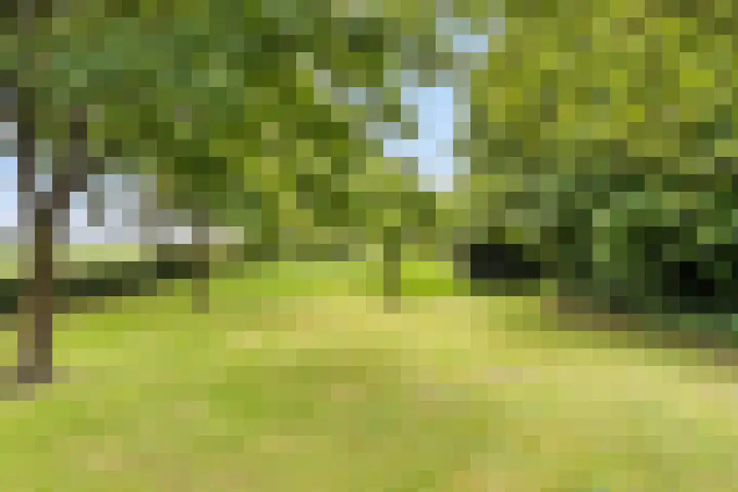 Slagweg 19 Dalfsen thumbnail 4