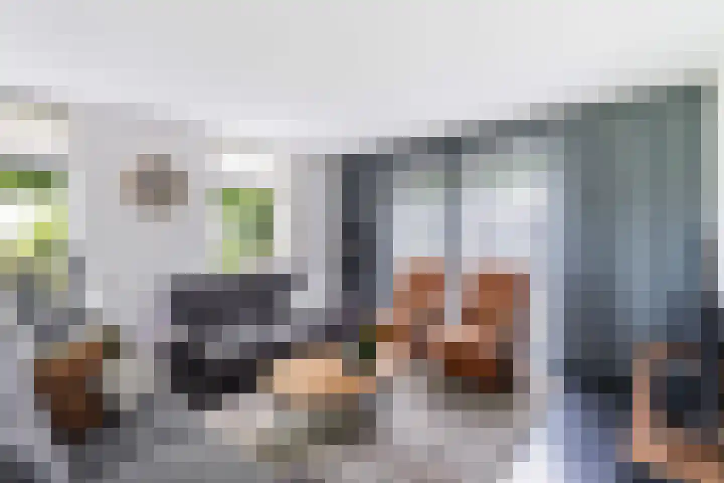 Slagweg 19 Dalfsen thumbnail 7