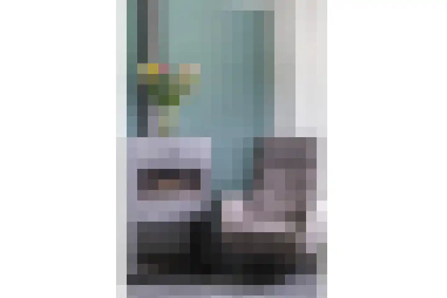 Slagweg 19 Dalfsen thumbnail 9