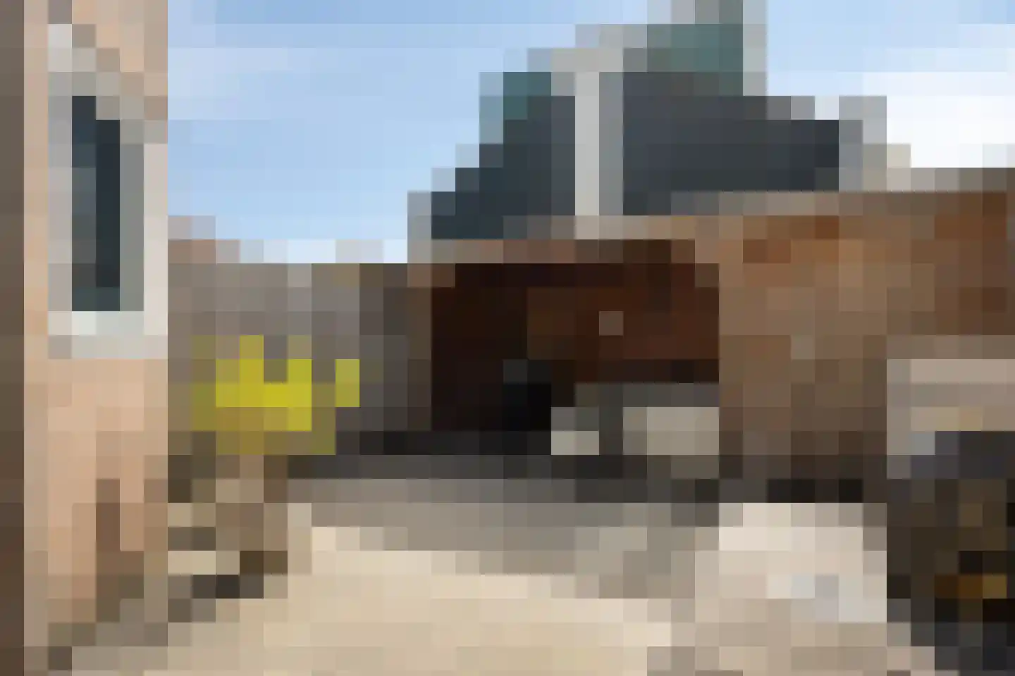 Slakkenveen 221 Spijkenisse thumbnail 4