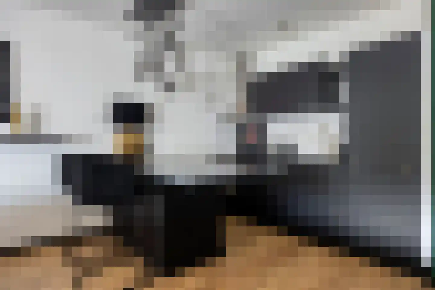 Slakkenveen 223 Spijkenisse thumbnail 12