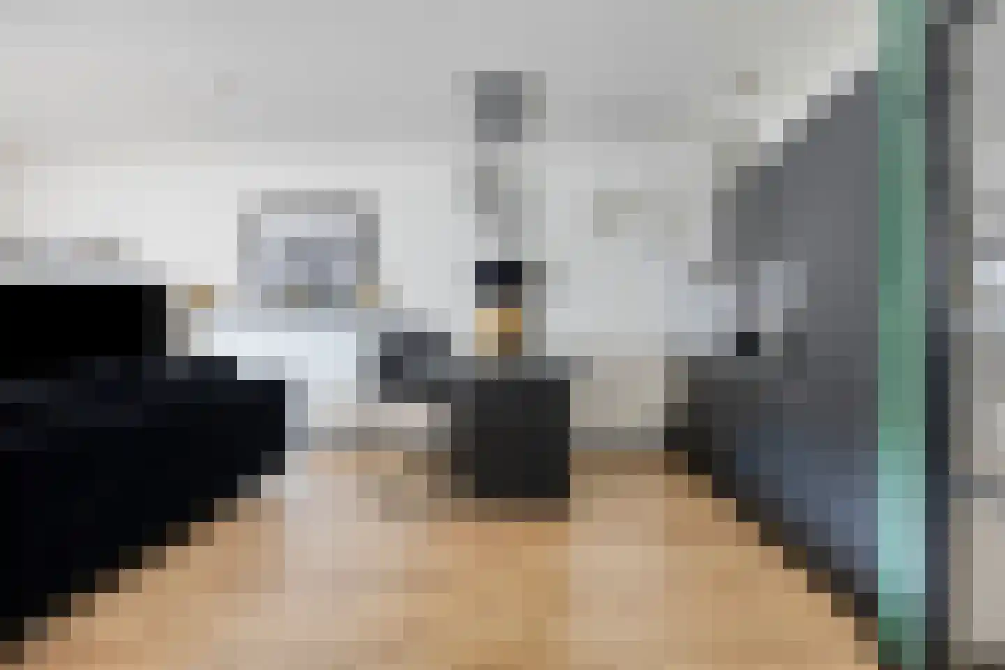 Slakkenveen 223 Spijkenisse thumbnail 15