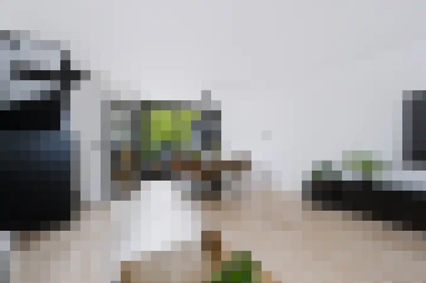 Slakkenveen 226 Spijkenisse thumbnail 13