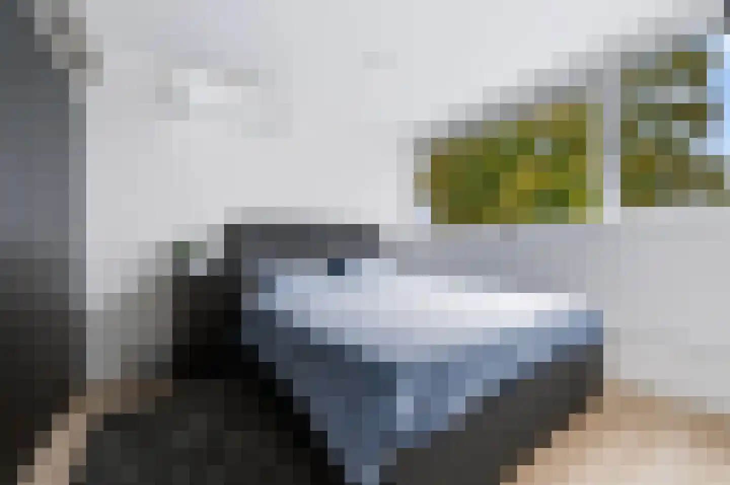 Slakkenveen 226 Spijkenisse thumbnail 17