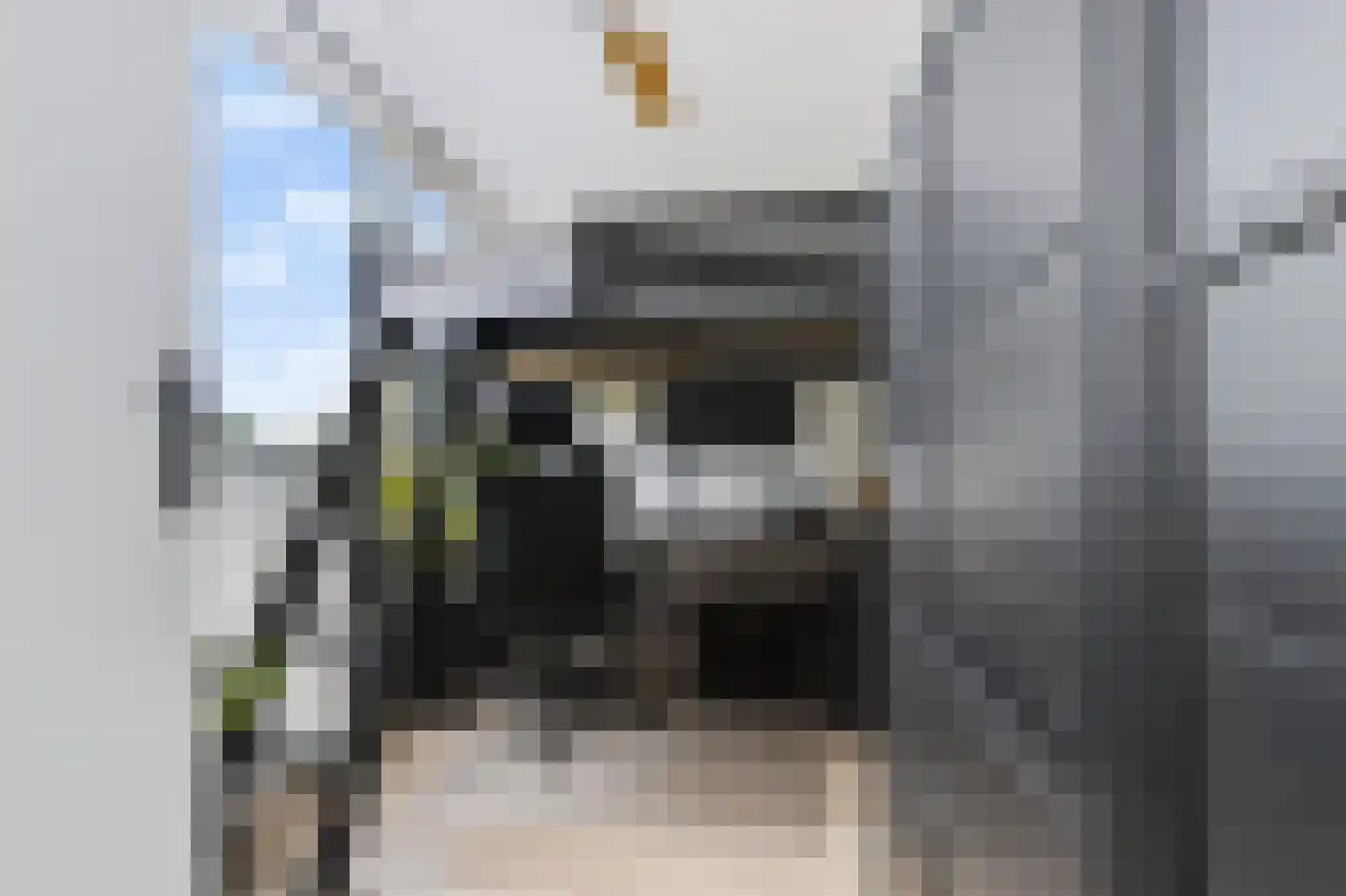 Slakkenveen 226 Spijkenisse thumbnail 21