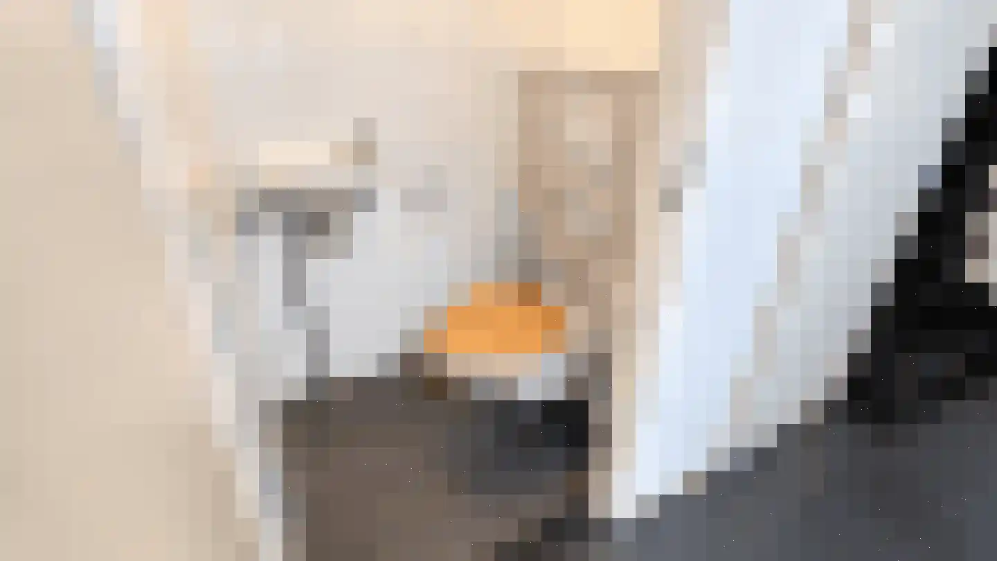 Slakkenveen 227 Spijkenisse thumbnail 8