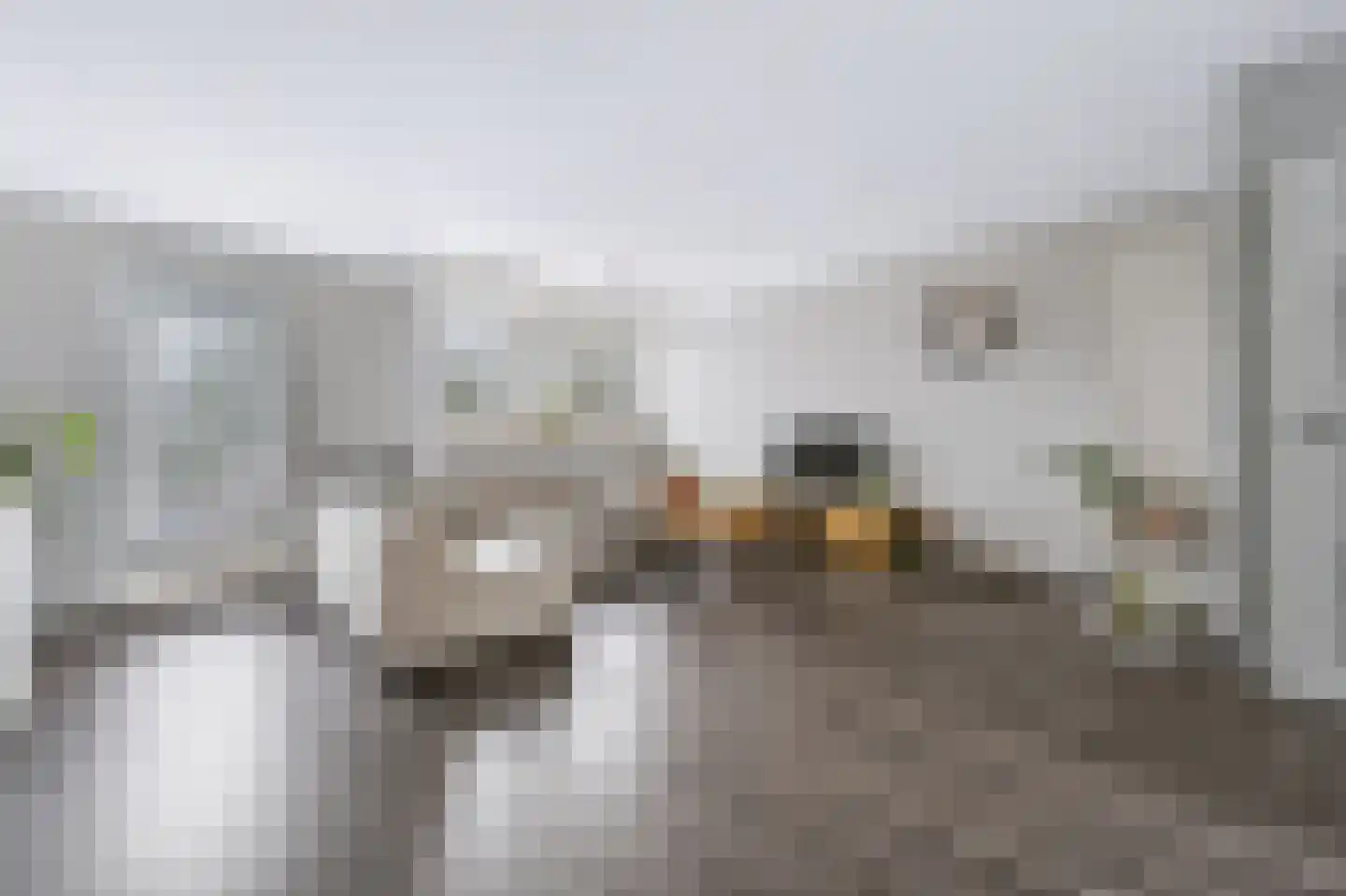 Slakkenveen 233 Spijkenisse thumbnail 10