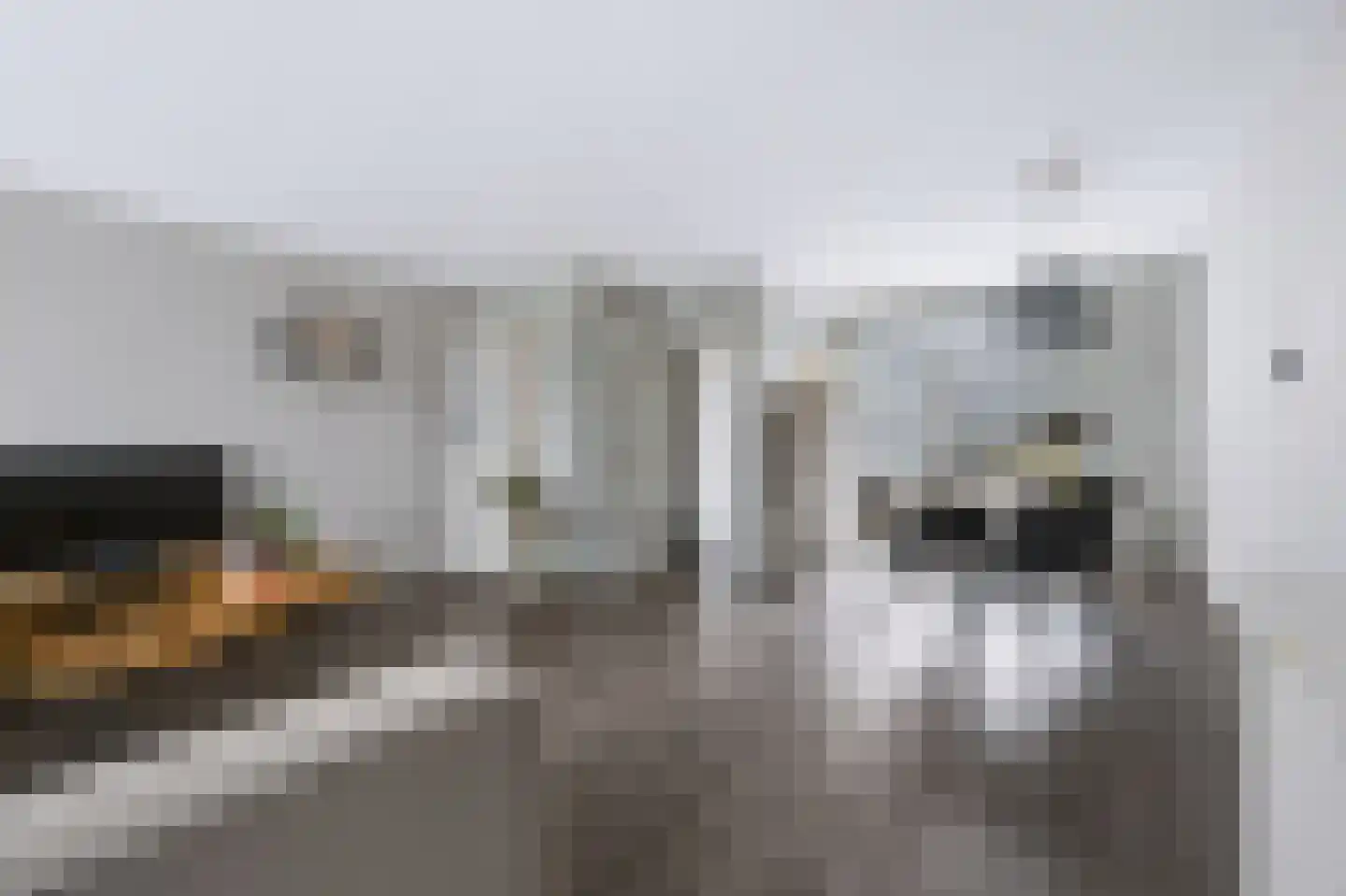 Slakkenveen 233 Spijkenisse thumbnail 12