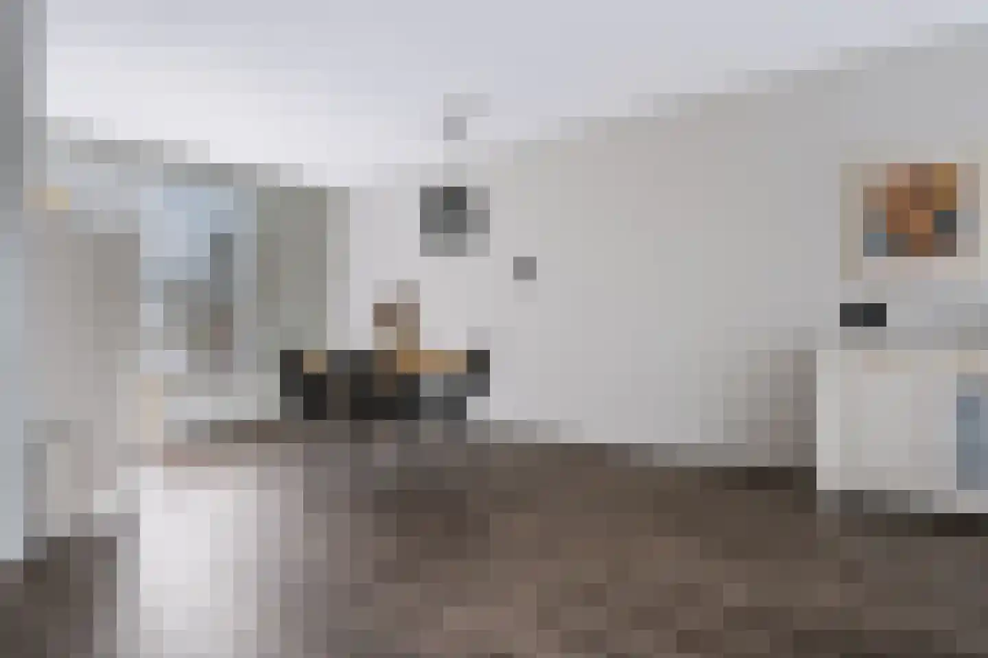Slakkenveen 233 Spijkenisse thumbnail 13