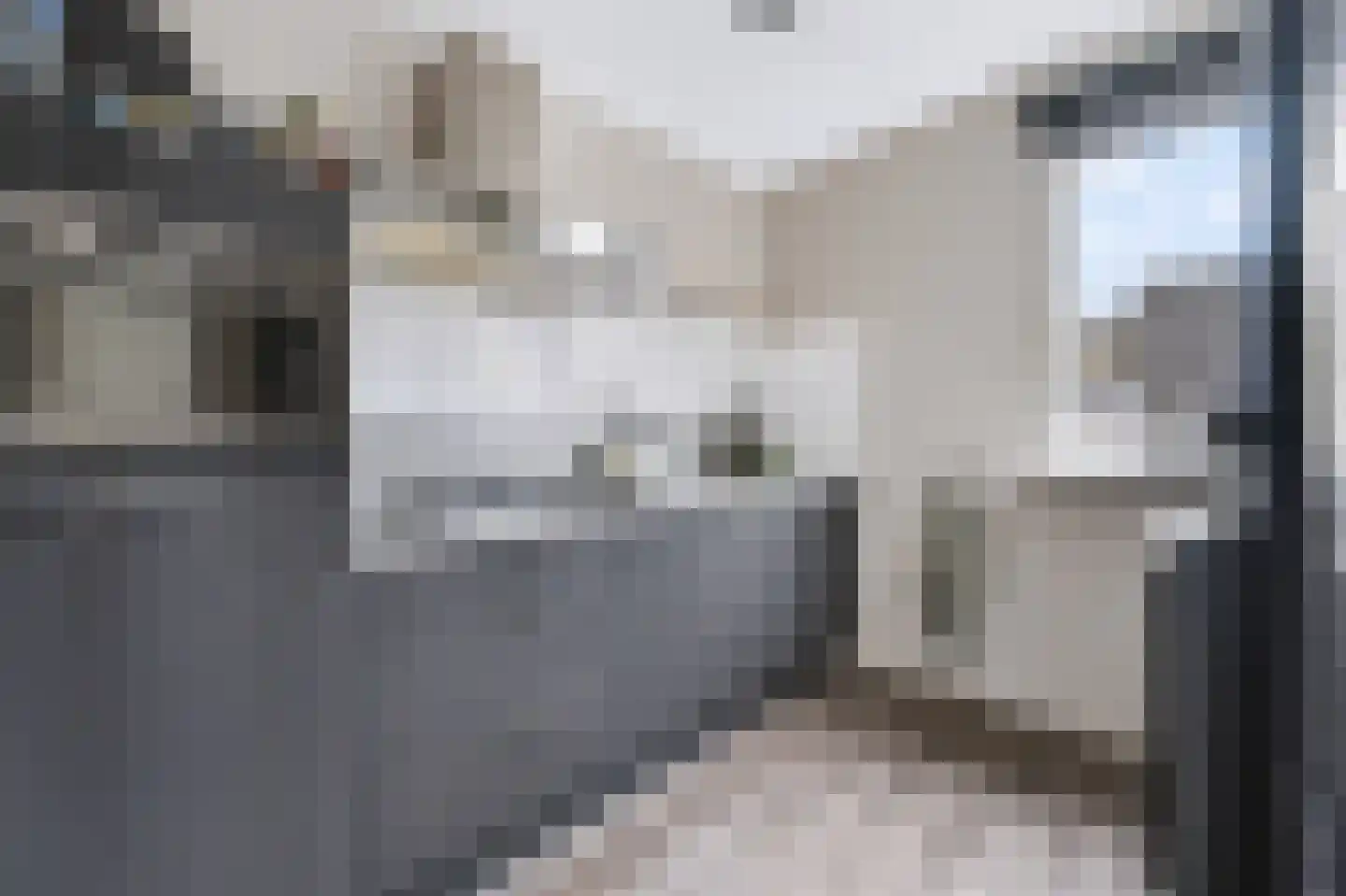 Slakkenveen 233 Spijkenisse thumbnail 14