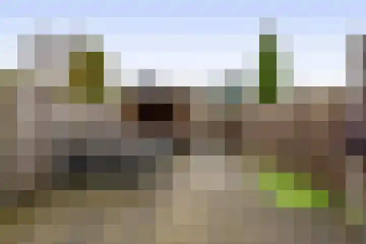 Slakkenveen 293 Spijkenisse thumbnail 35