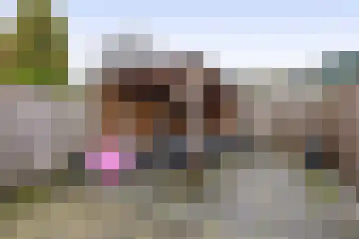 Slakkenveen 293 Spijkenisse thumbnail 36