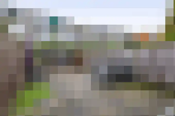 Slakkenveen 293 Spijkenisse thumbnail 37
